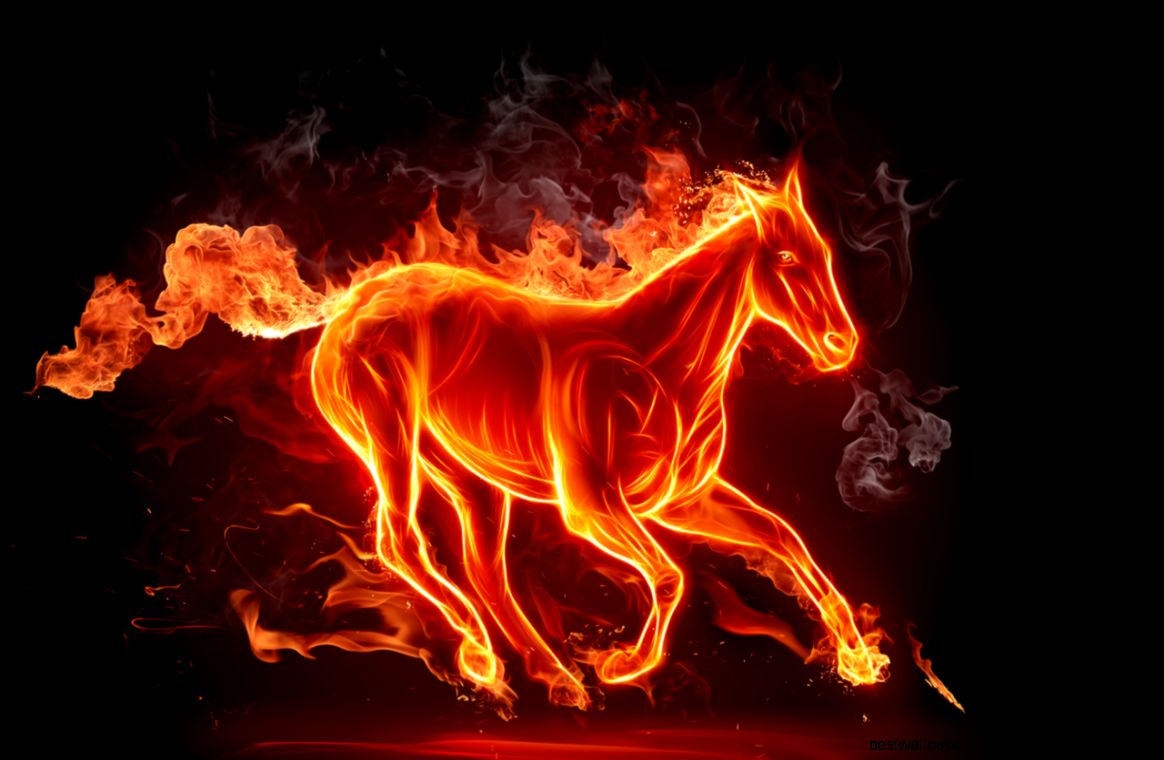 Animal The Horse Fire Cool Download Wallpapers Resolution GamesHD Animal The Horse Fire Cool Download Wallpapers Resolution GamesHD