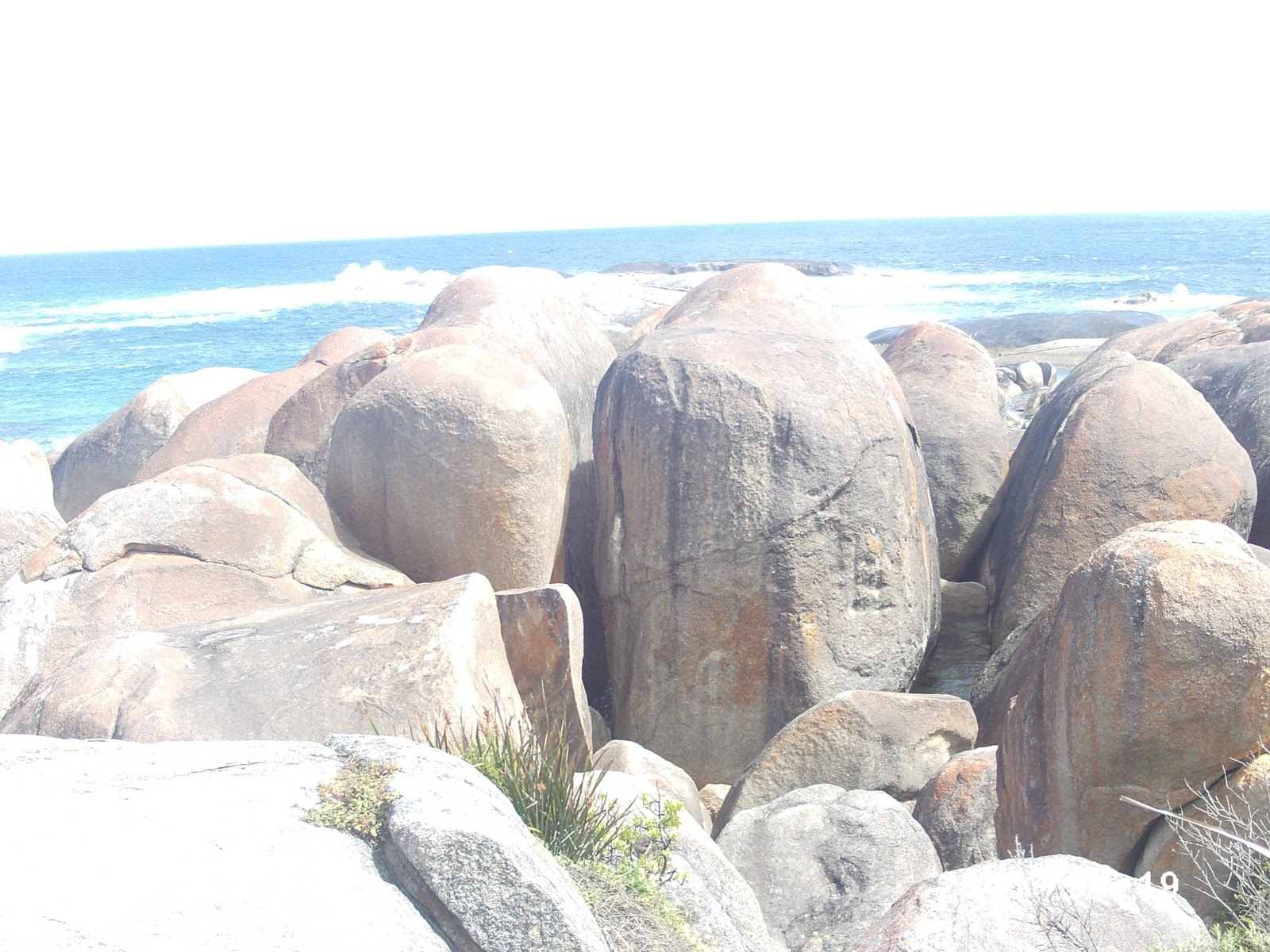 Elephant+Rocks.JPG