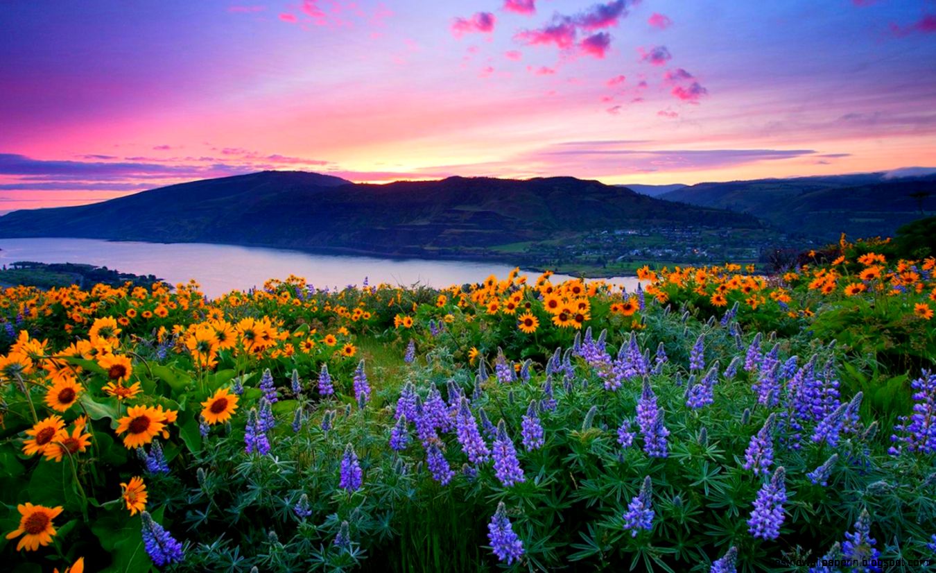 Nature Backgrounds Amazing Landscape Wallpaper Of Nature Nature Backgrounds Amazing Landscape Wallpaper Of Nature