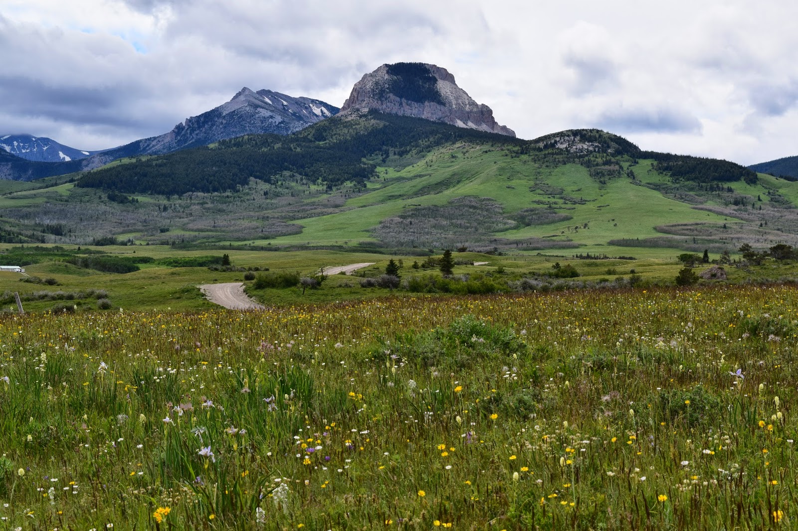 prairiemary BLACKFEET RESERVATION FIRES