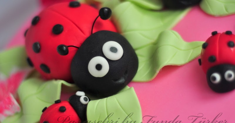 Pasta Sehri 1 yaş Uğur Böcekli Doğumgünü Pastası ve Kurabiyeleri