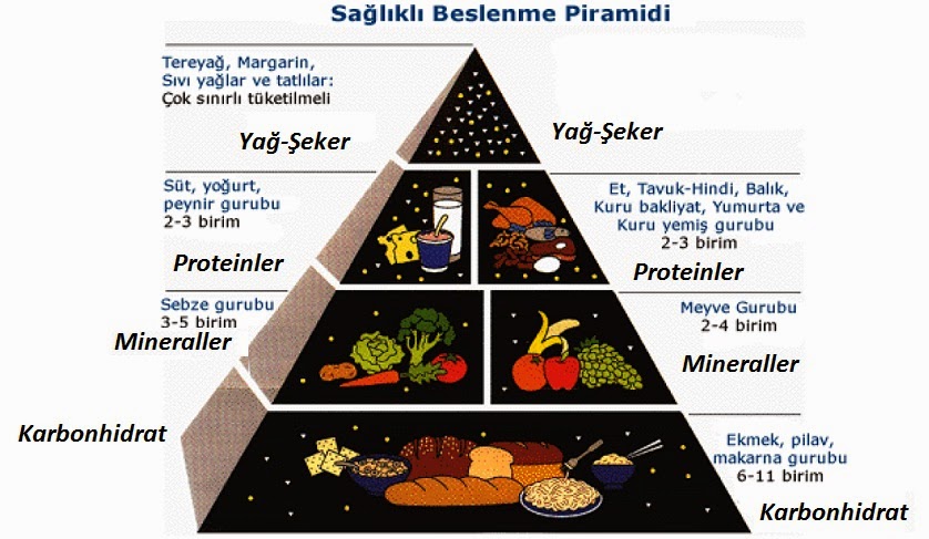 Image result for besin piramidi nedir