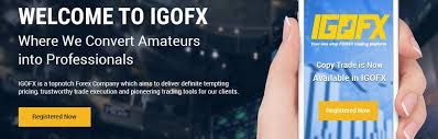 Welcome To IGOFX
