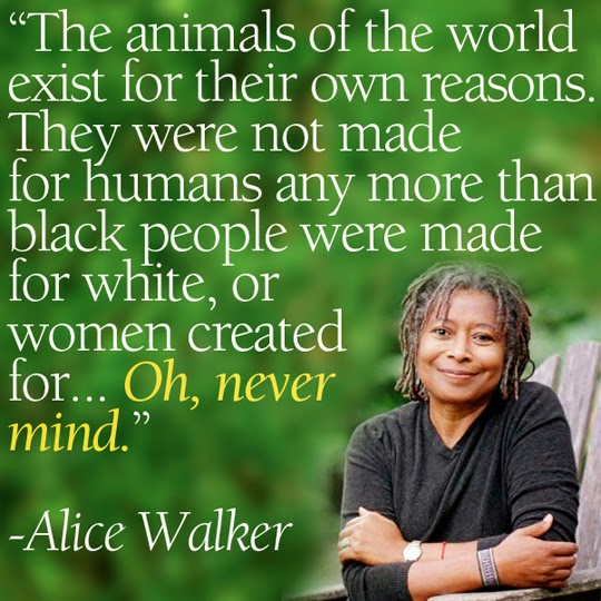 Image result for Alice Walker  blogspot.com