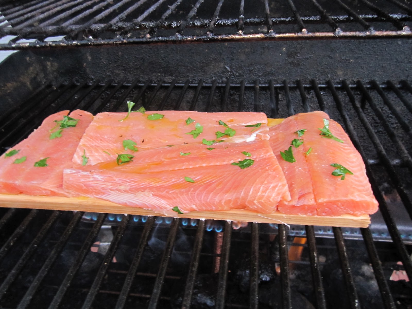 Nearly Natural Nicole Cedar Plank Salmon