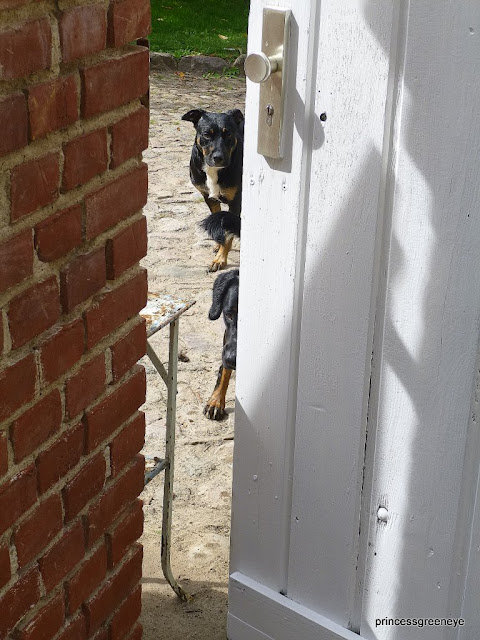 princessgreeneye: August 2012