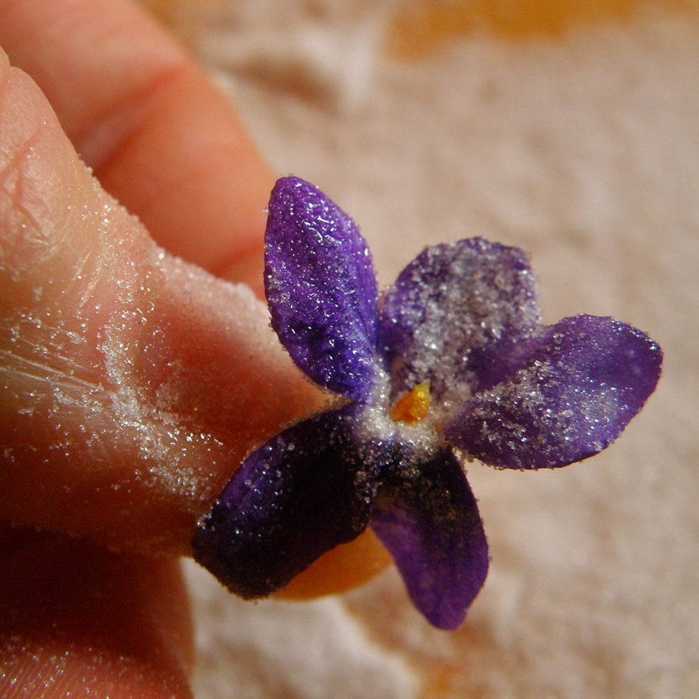 Seasonal Eating Candied Violets