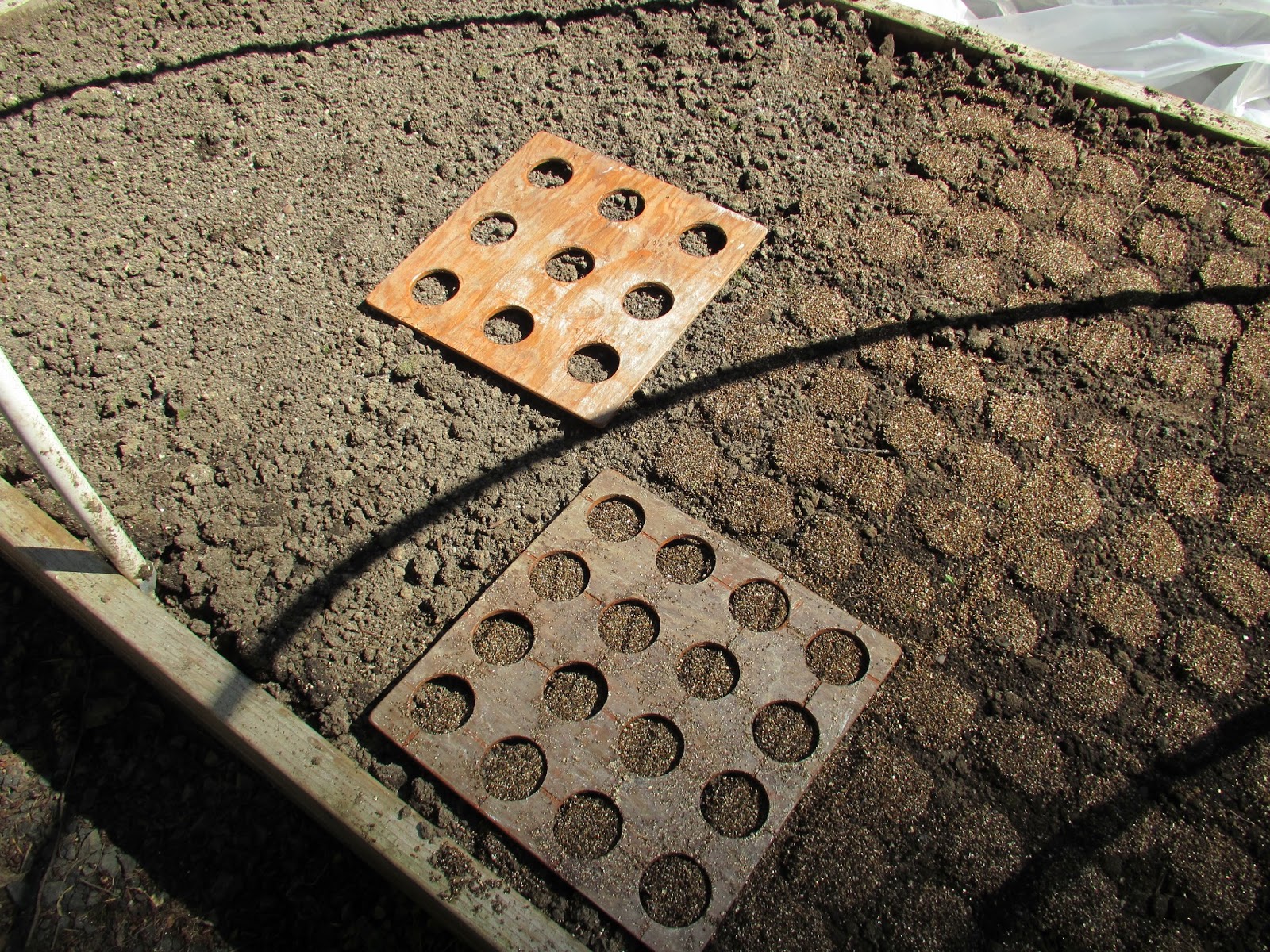 At Home On Paradise Cove: Square Foot Gardening with a Planting Jig