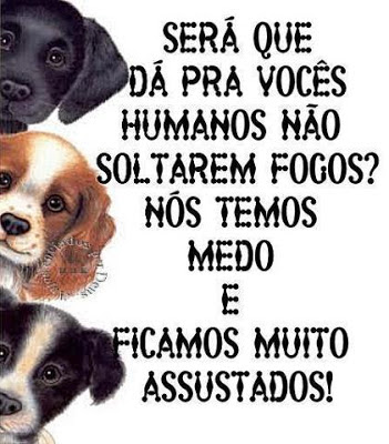 Imagem relacionada