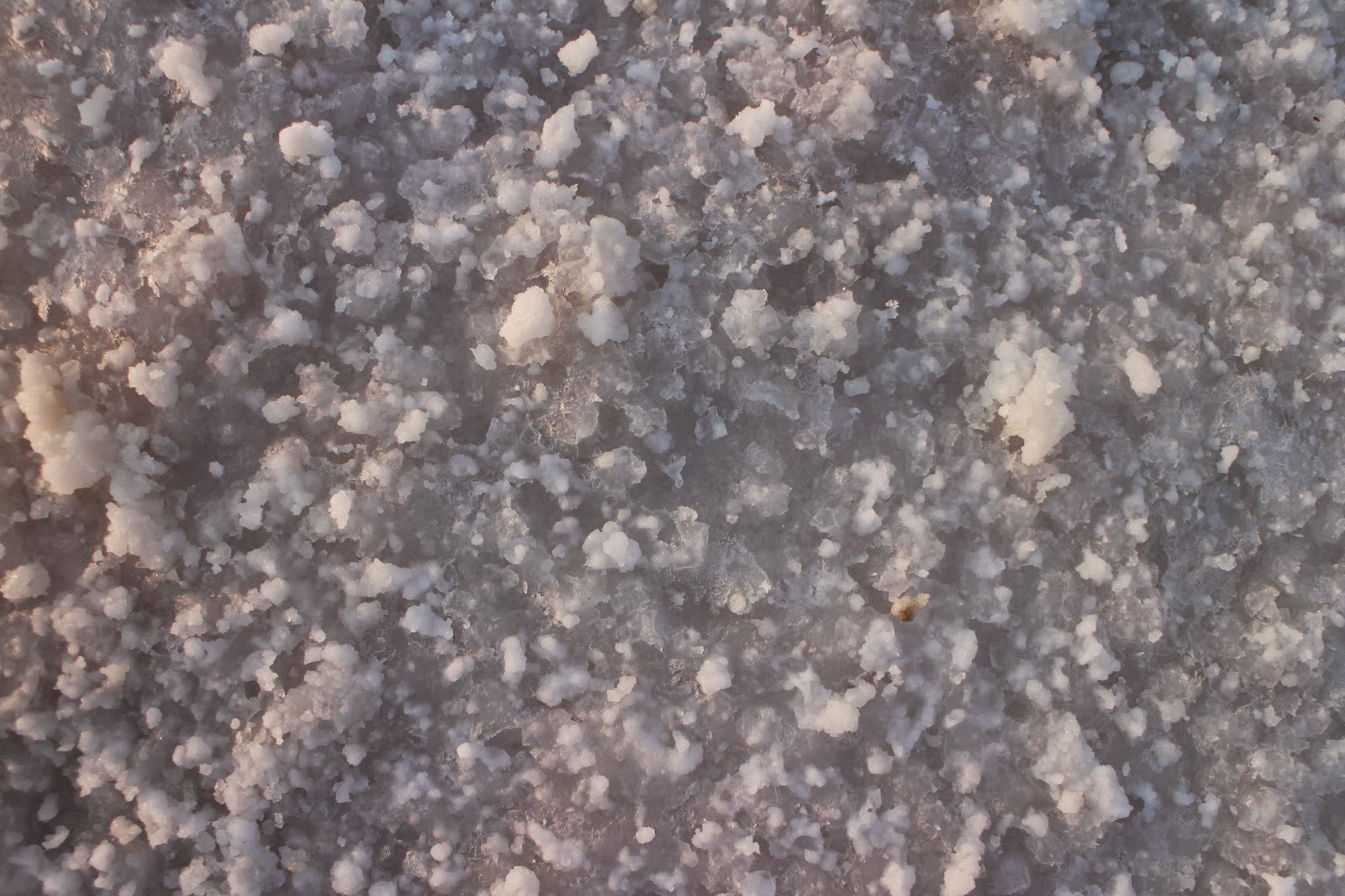 Rann of Kutch, Rann Utsav, Kutch, Gujarat, Gujarat Tourism Rann of Kutch, Rann Utsav, Kutch, Gujarat, Gujarat Tourism