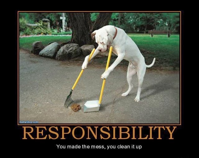 Task-doing vs. responsibility taking - a subtle distinction