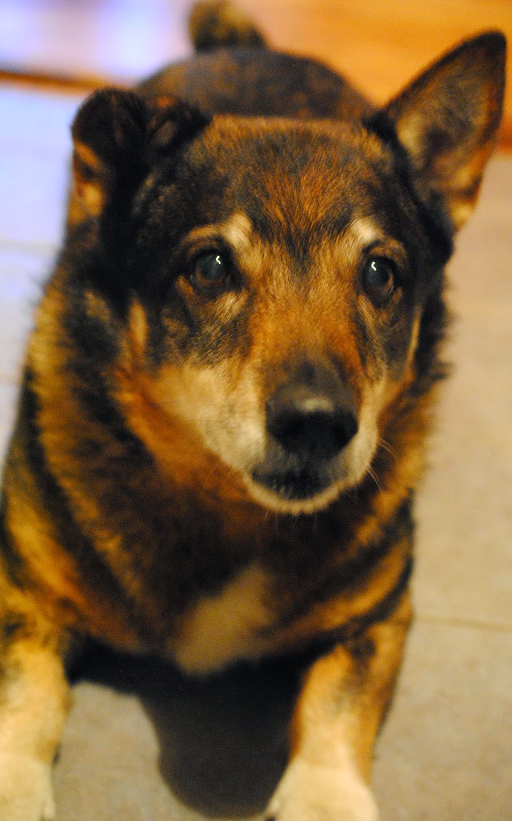 vad göra på dejt i göteborg