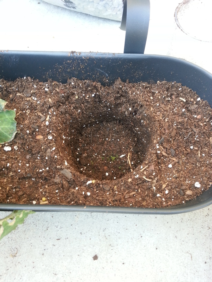 nic nacks A plantpotting tip