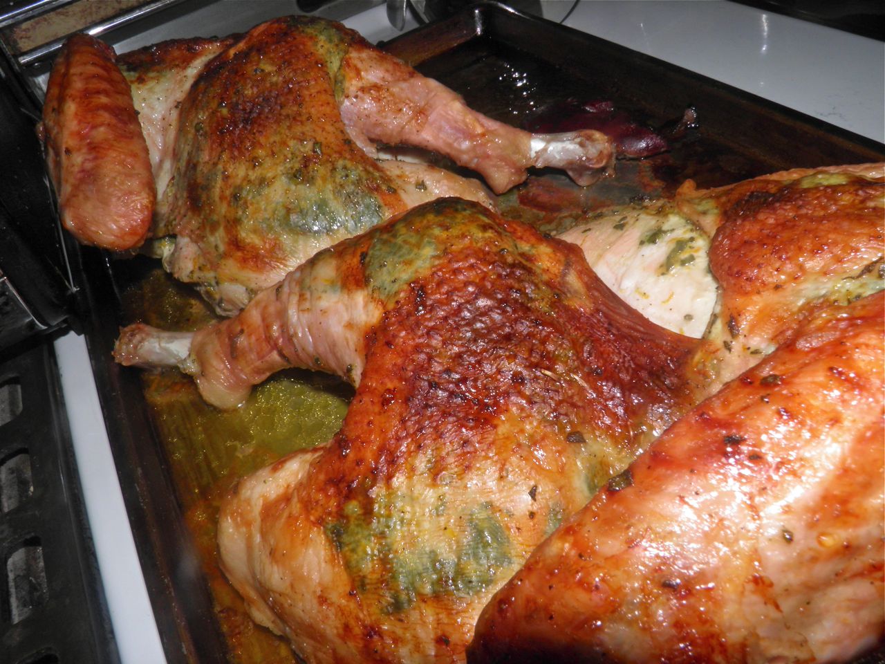 Docaitta Lifestyle Pressed for time? 10 lb Roast Turkey in 1.5 hours!