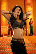 Shruti Hassan Hot photos-thumbnail-24