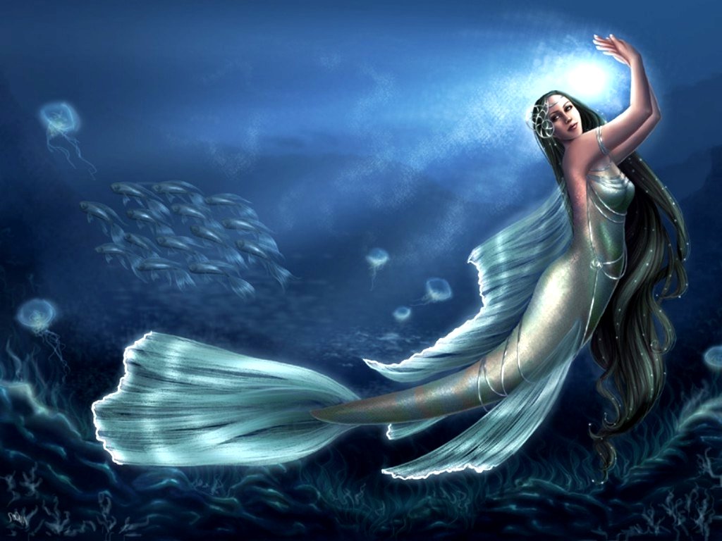 Trololo Blogg Wallpaper Ikan Cantik Trololo Blogg Wallpaper Ikan Cantik