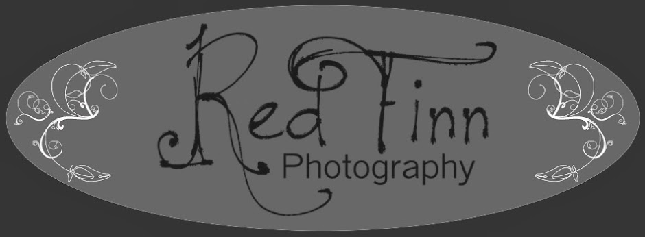 Red Finn Photography