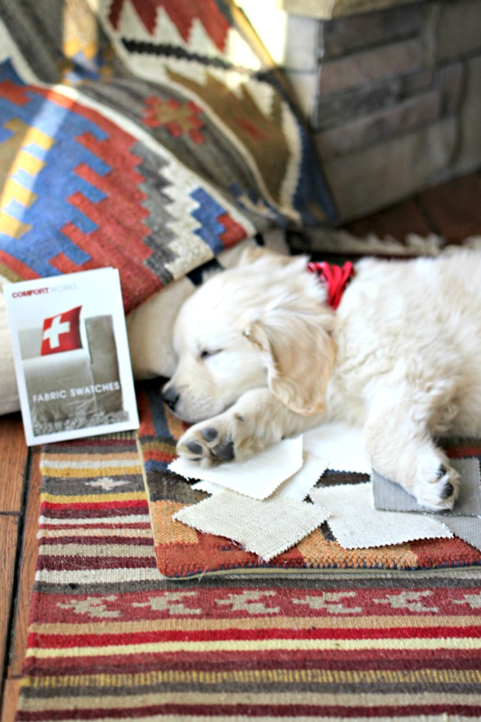 Sleeping puppy on Comfort Works fabric swatches - www.goldenboysandme.com