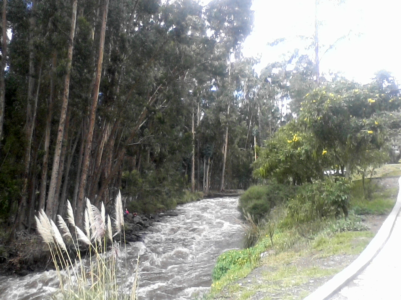 Parroquia Ficoa Rio Ambato