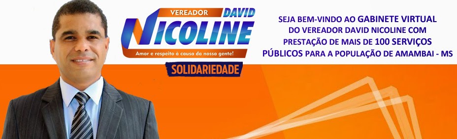 Vereador David Nicoline