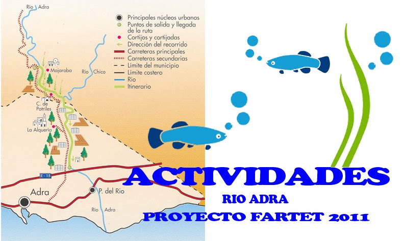 ACTIVIDADES