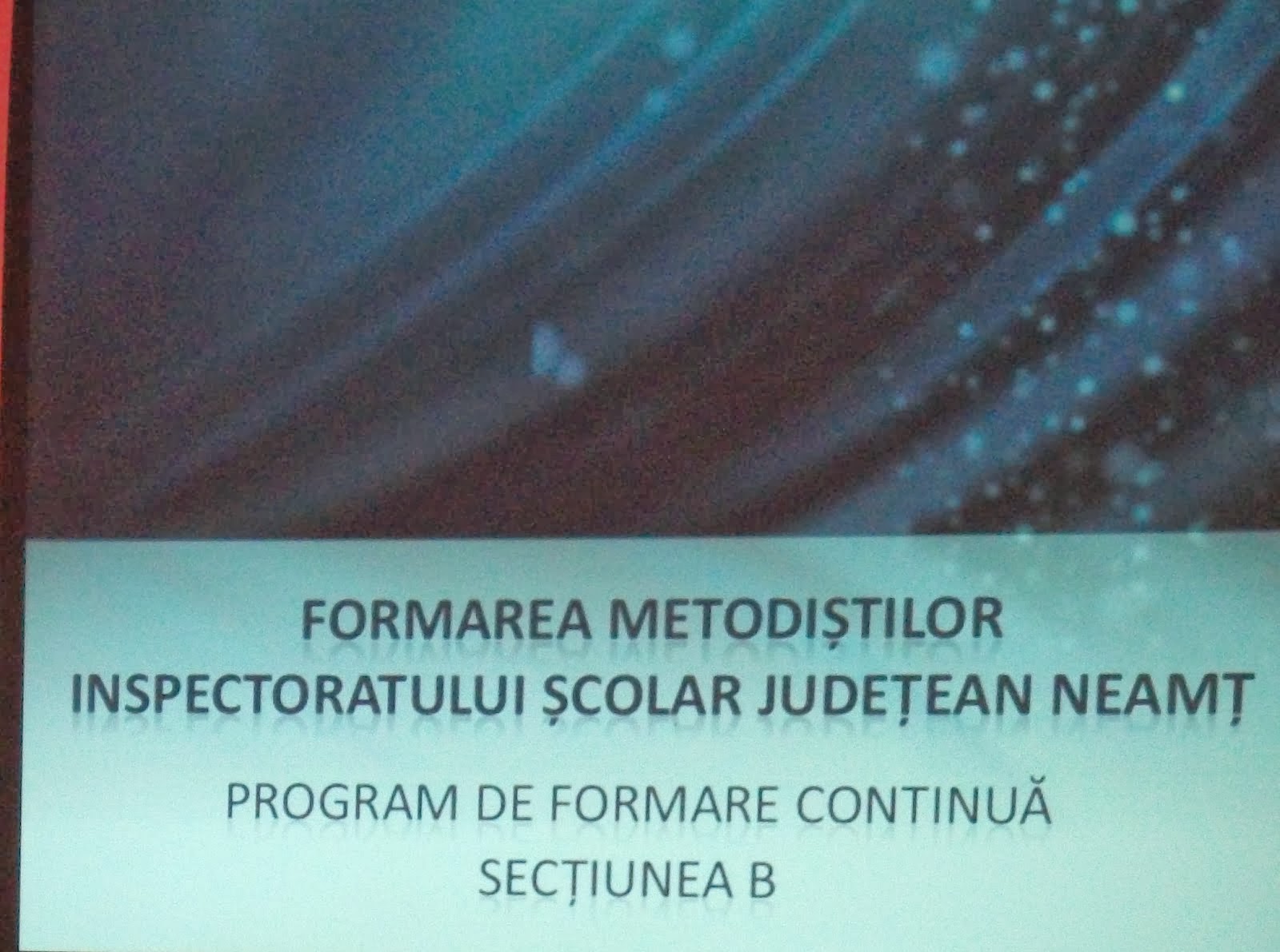 Aspecte de la cursurile de formare a profesorilor-metodişti, 4-6.02.2014...