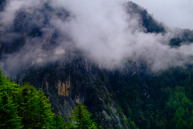 Paro Taktsang / Tiger's Nest Monastery Paro Taktsang / Tiger's Nest Monastery