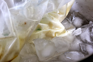 Madagascar Vanilla Bean Ice Cream