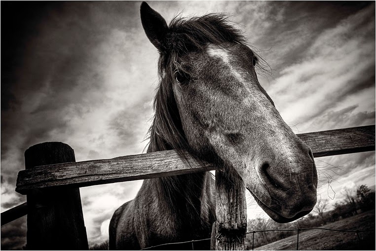 Compact Camera, Best Photo of the Day in Emphoka by Ross Magrath, Sony DSC-RX100, https://flic.kr/p/eQoCFJ Compact Camera, Best Photo of the Day in Emphoka by Ross Magrath, Sony DSC-RX100, https://flic.kr/p/eQoCFJ