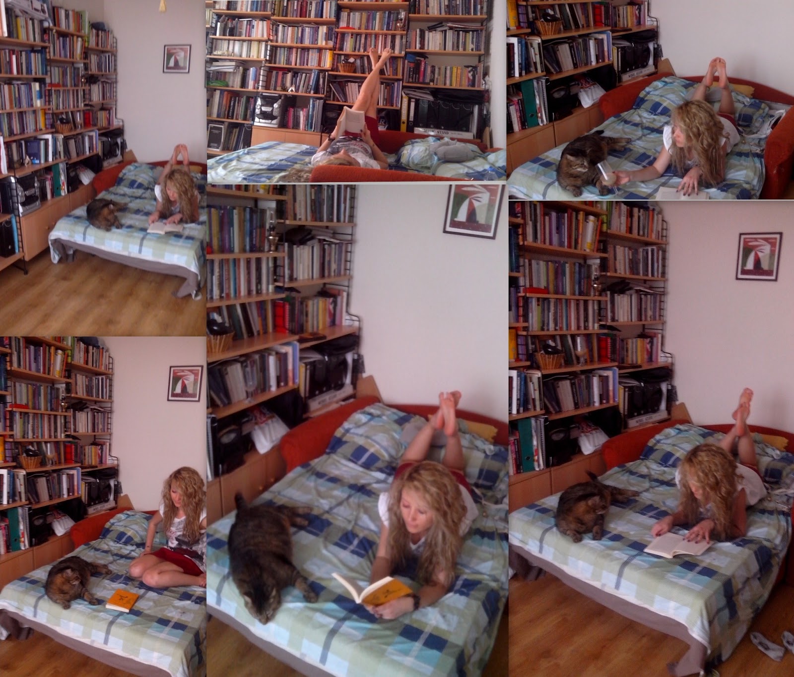 ne dedim ben Kedi,Kitap,Kahve