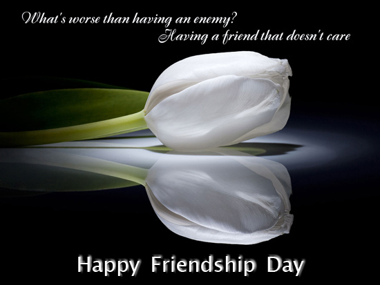 Friendship Day Quotes | Nice Picture Quotes