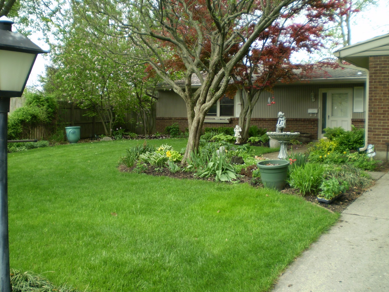 Gardening Naturally with Claudia Lawns Benefits of a Healthy Lawn