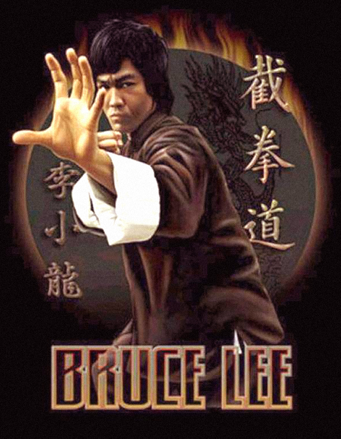 A terceira vida de Warrior, a série de luta de Bruce Lee, Crítica