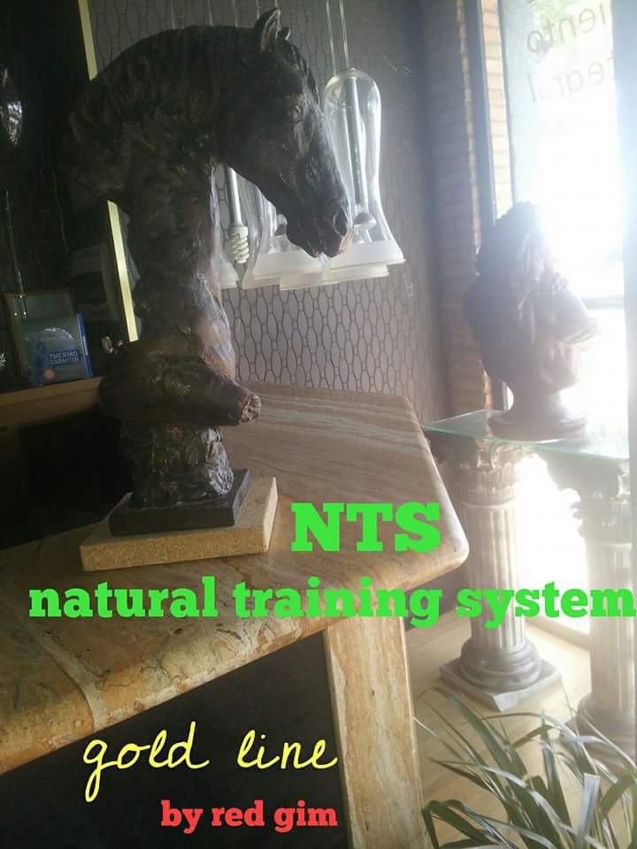 the gym. sistema NTS
