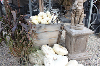 Roger's Garden, Corona del Mar CA, Halloween 2012