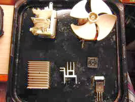 CIMG2555.jpg