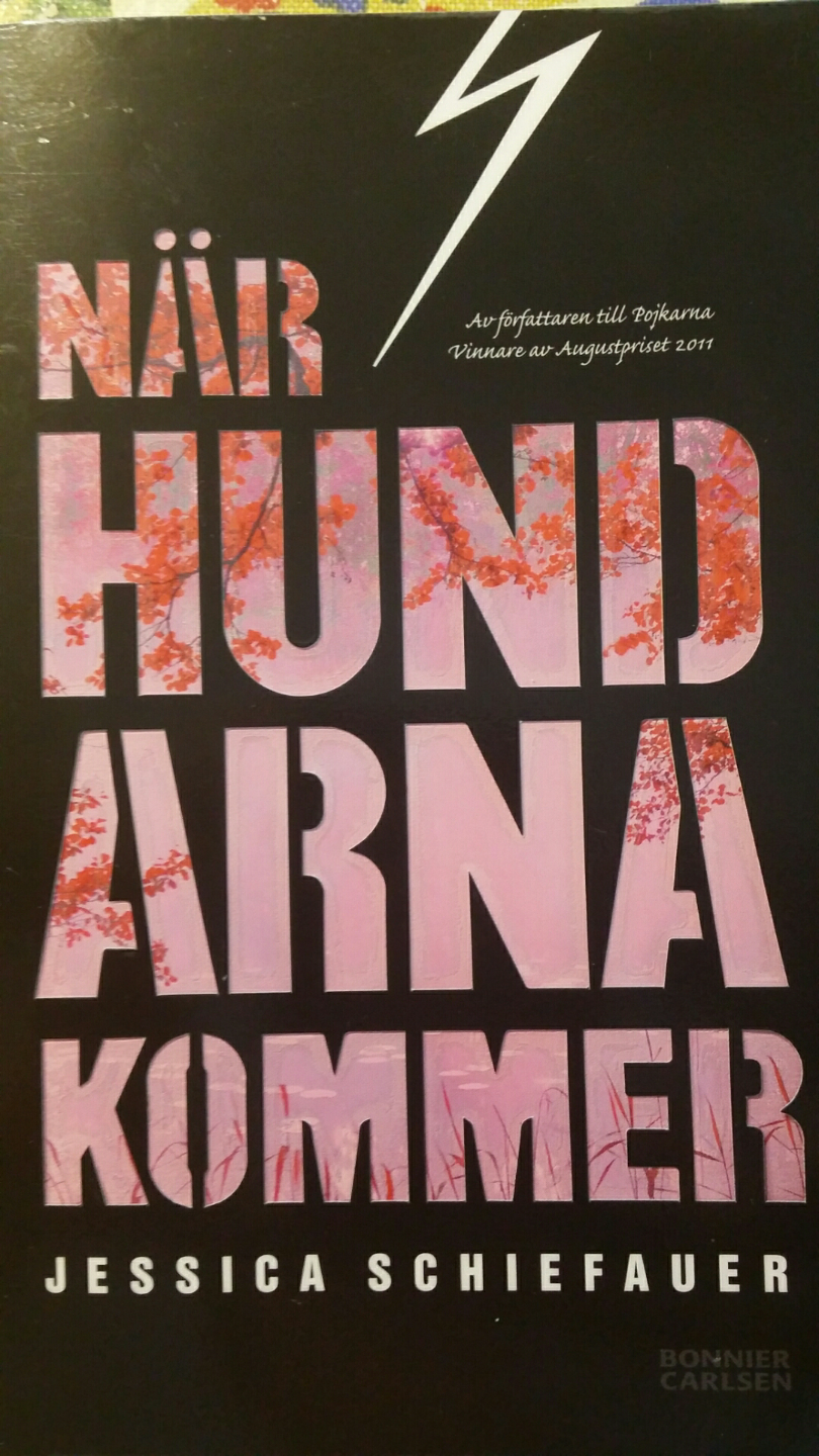 hur blir man privatdetektiv hur blir man privatdetektiv