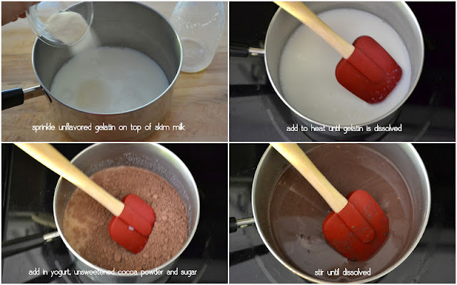 Light Chocolate Panna Cotta Light Chocolate Panna Cotta