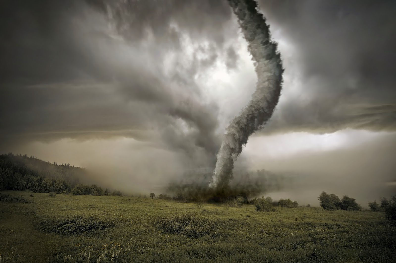Ahora sé: ¿CÓMO SE FORMAN LOS TORNADOS?