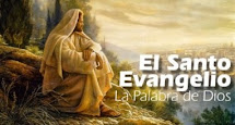 EVANGELIO DEL DÍA