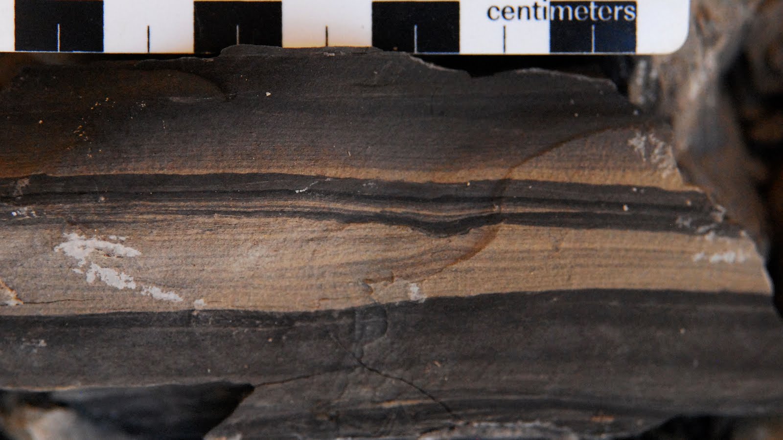 Ripple Cross Lamination