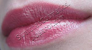 Swatches Cosmetics Свотчи Косметики Губная помада для губ Lipstick Artdeco №462