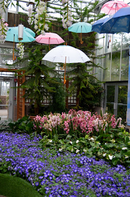 Orchid Daze: Surreal Beauty, Atlanta Botanical Garden