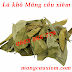 LÁ MÃNG CẦU XIÊM - PHÒNG TRỊ UNG THƯ