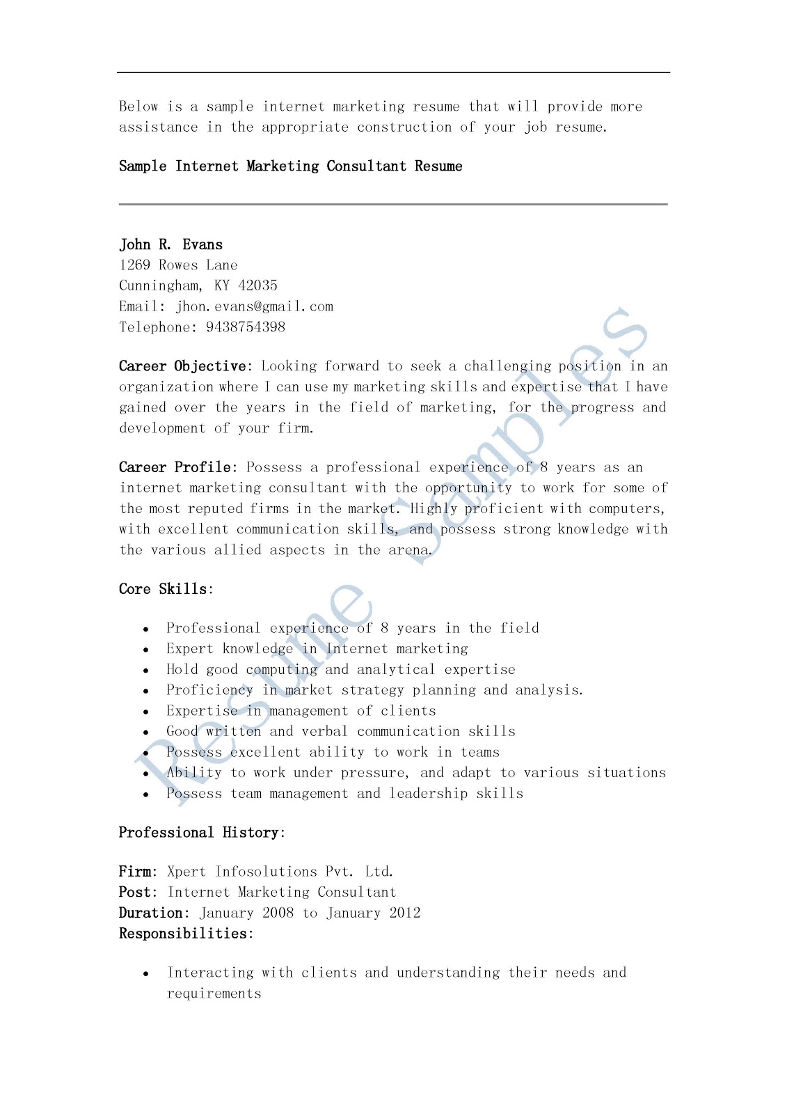 resume samples  internet marketing consultant resume