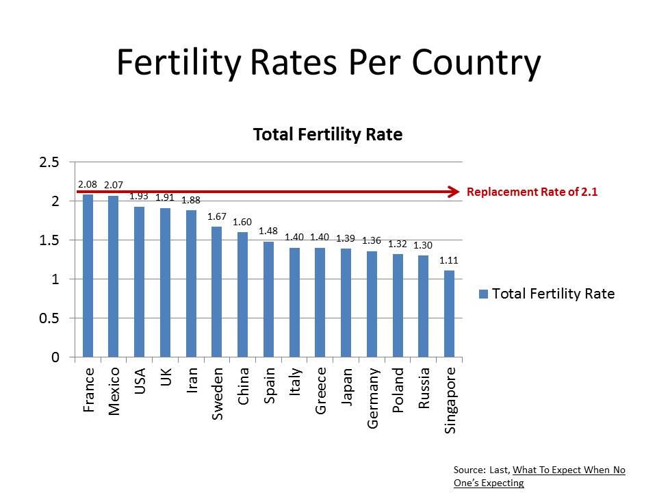 BeeLine What To Expect When No One's Expecting