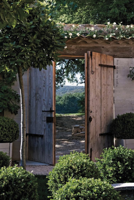 Modern Country Style: Small Gardens: Modern Country Garden Essentials