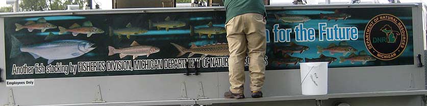 Catfish Planting at Park Lake