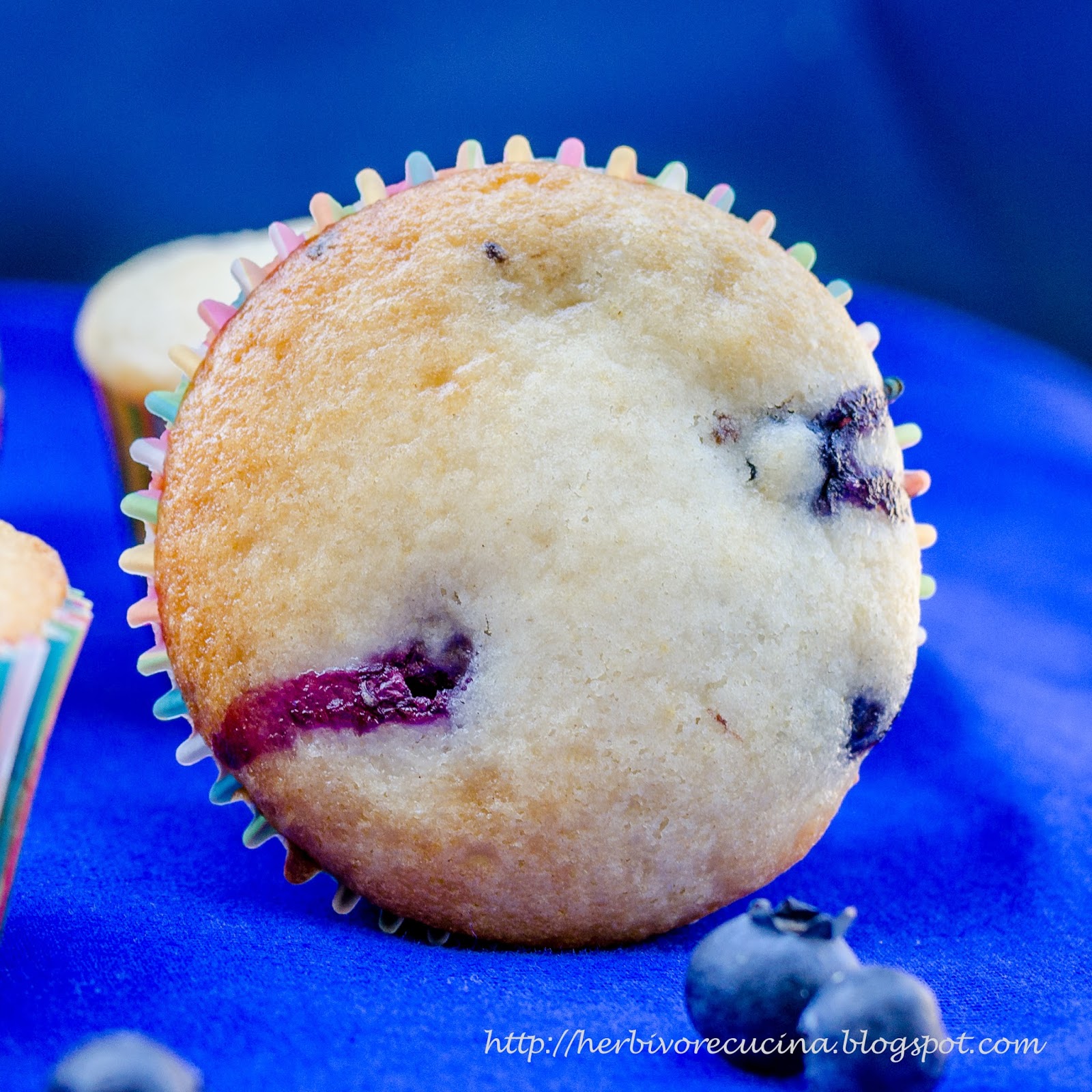 Herbivore Cucina Eggless Blueberry Yogurt Muffins
