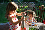 Kids Eating Plants